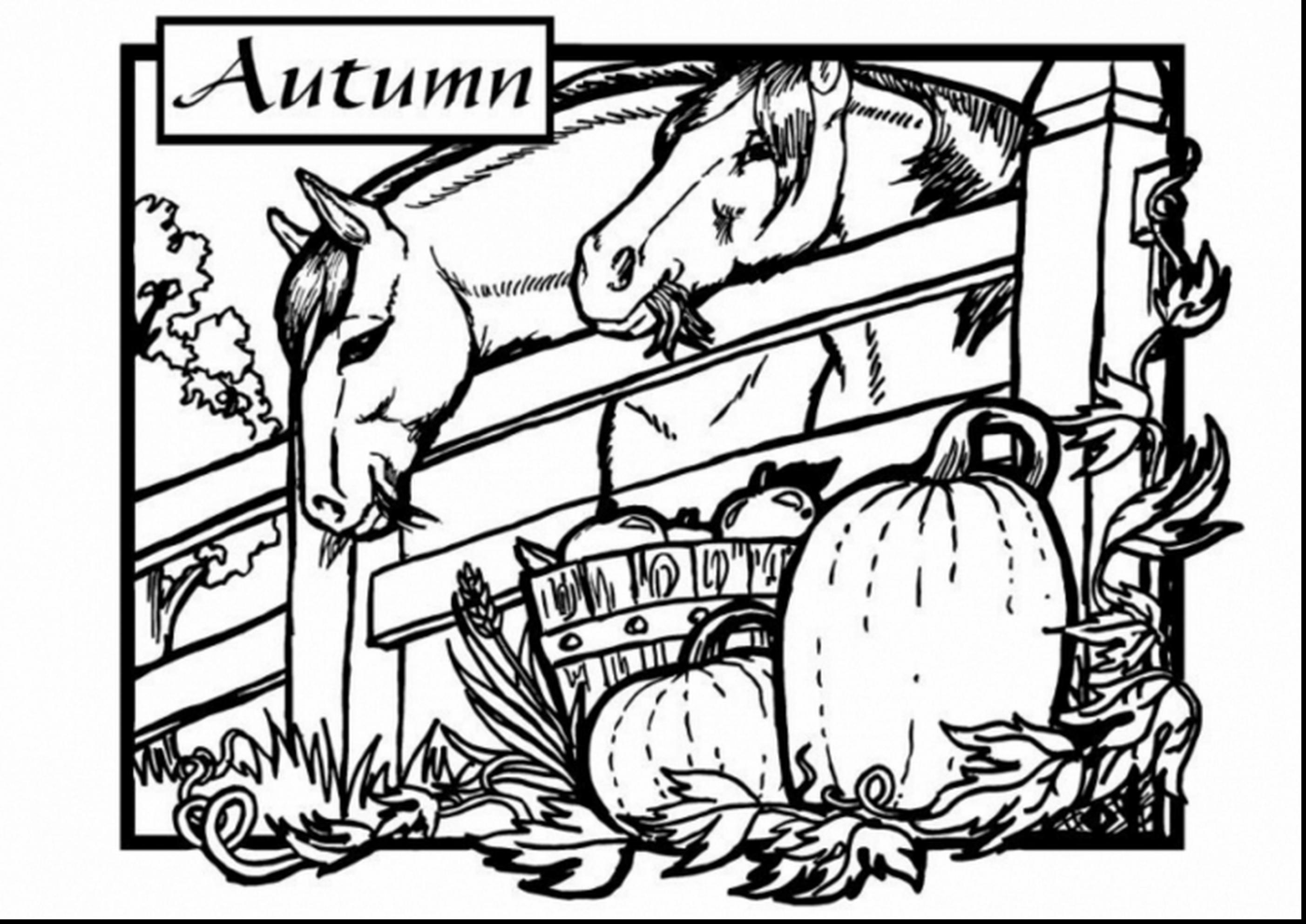 2805x1985 The Stable Coloring Sheet