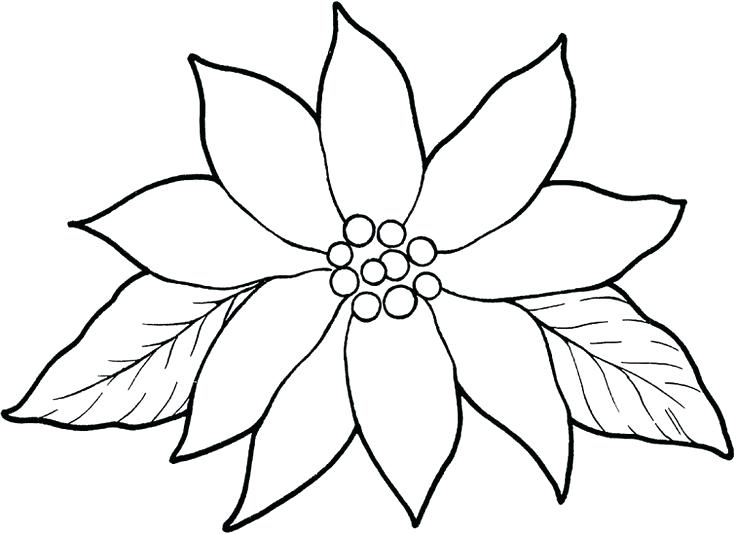 736x534 Coloring Pages Of Christmas Stuff Things To Color Coloring Pages