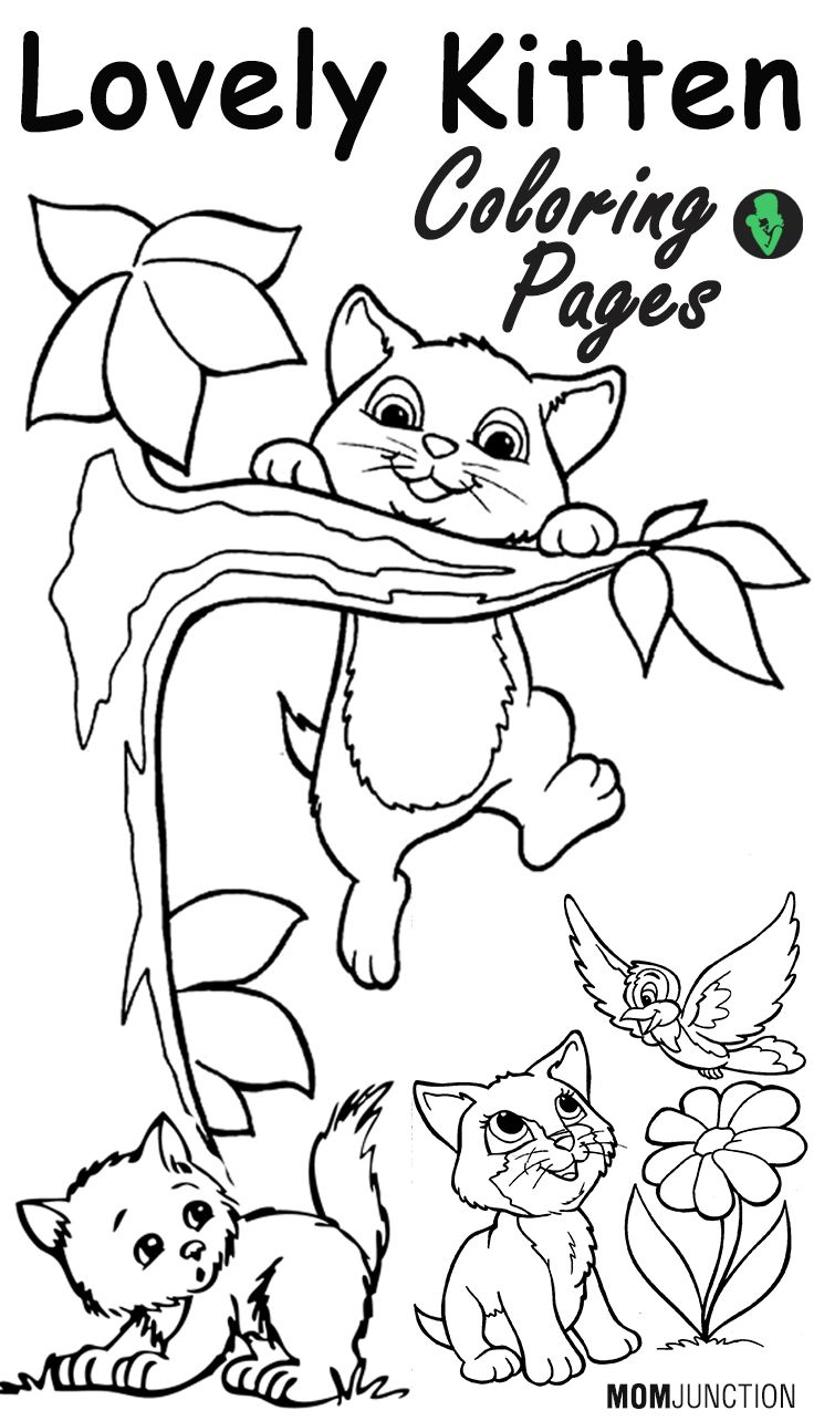 736x1284 Top 15 Free Printable Kitten Coloring Pages Online Adult