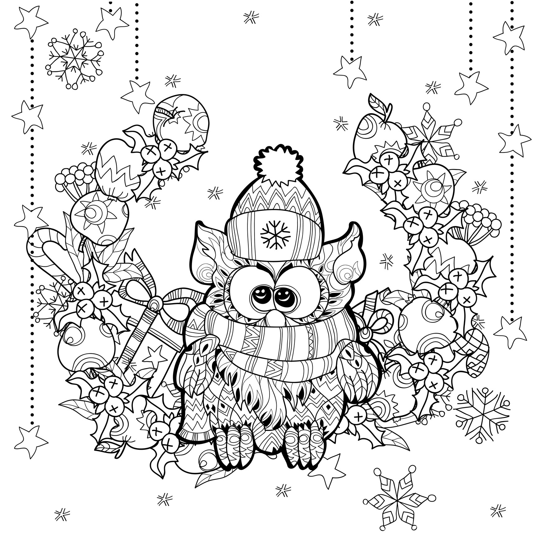 1732x1732 Funny Adult Coloring Pages Zentangle Christmas 10844 Unknown