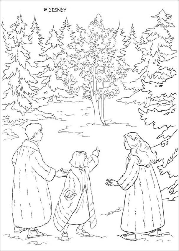 607x850 Le Monde De Narnia N 9 Lion Witch Amp Wardrobe Class