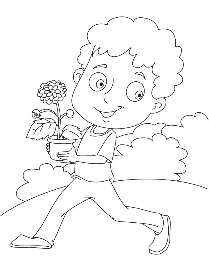 Chrysanthemum Coloring Page