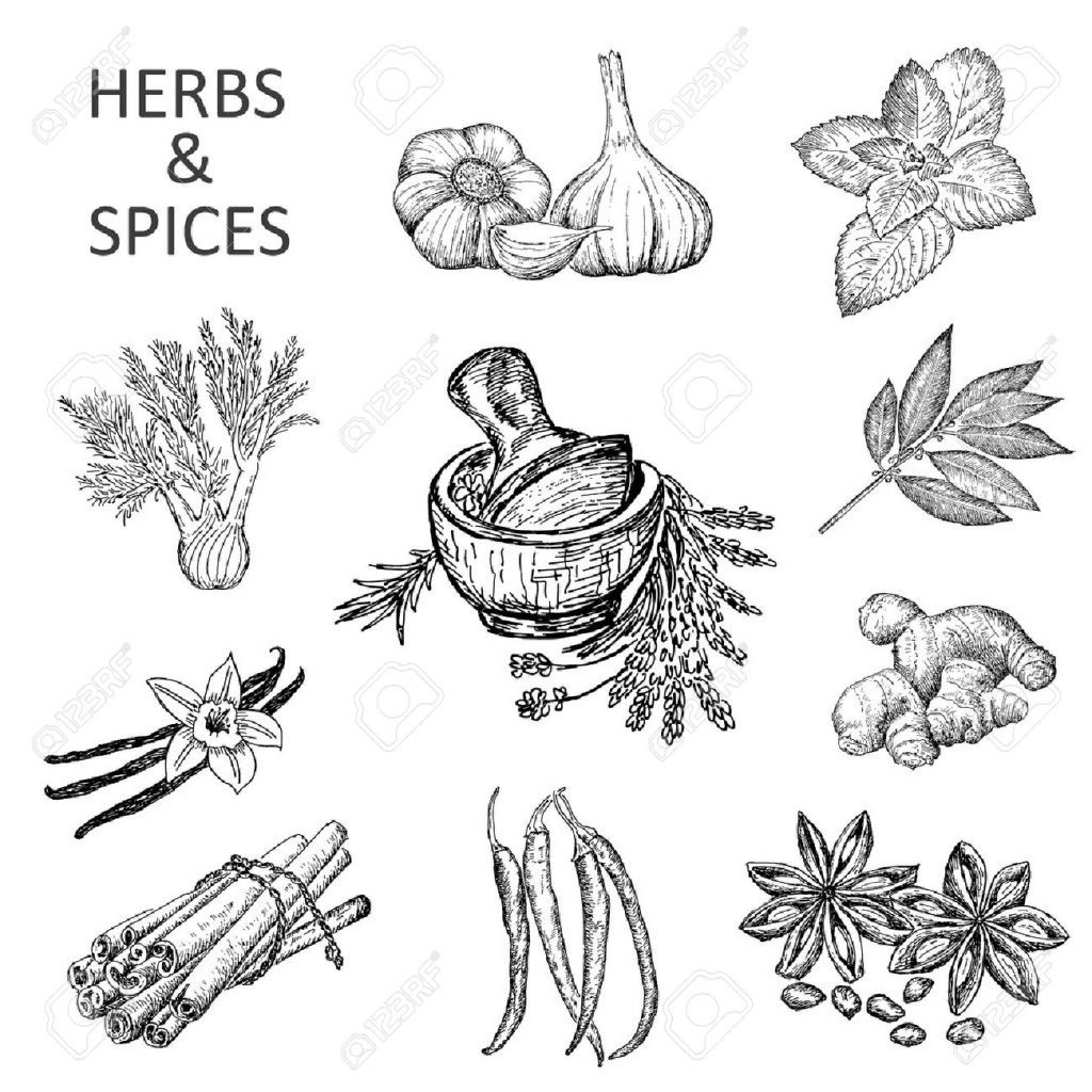 1024x1024 Hot Cross Buns Coloring Pages Wonderful For Kids Page Nursery
