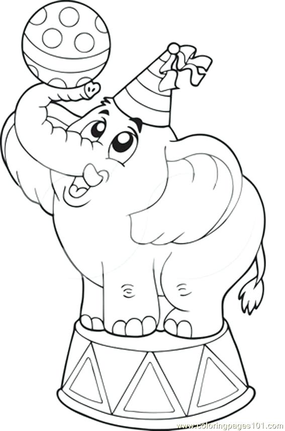567x859 Coloring Pages Circus Circus Elephant Coloring Pages For Kids