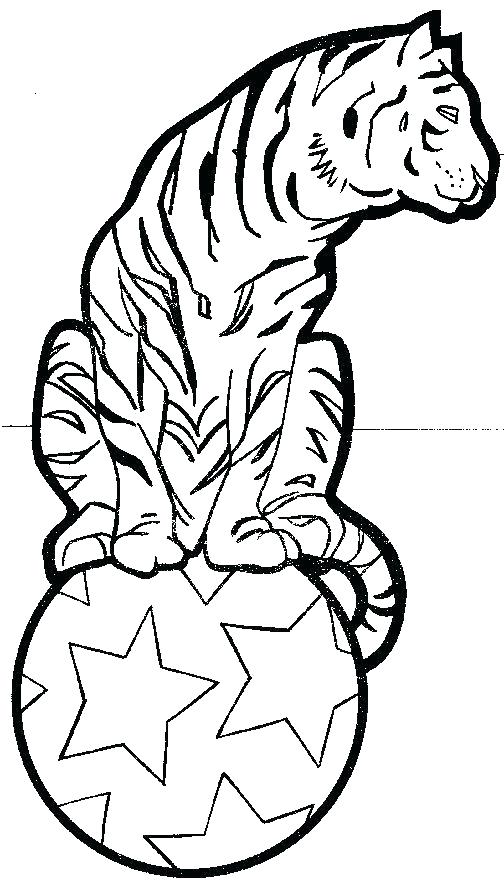 504x886 Circus Coloring Pages Coloring Pages Circus Coloring Page Of Tiger