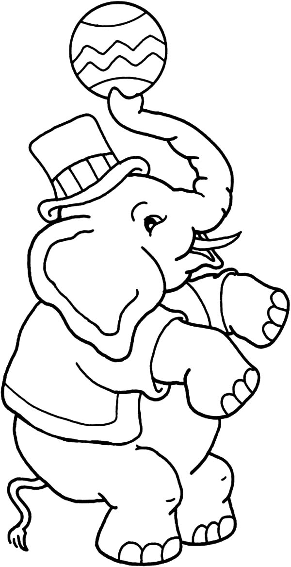 Circus Elephant Coloring Page