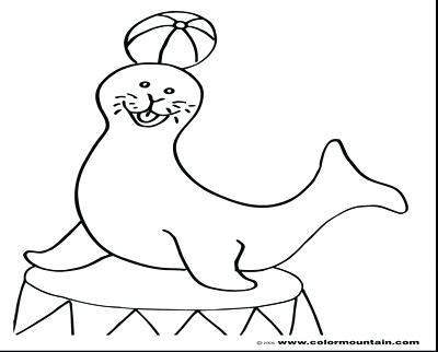 Circus Seal Coloring Page