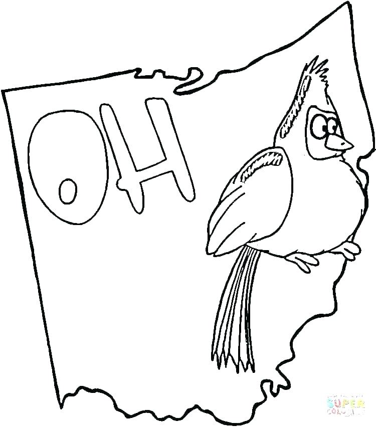 750x852 Seal Coloring Page Circus Seal Coloring Page Preschool Crafts Seal