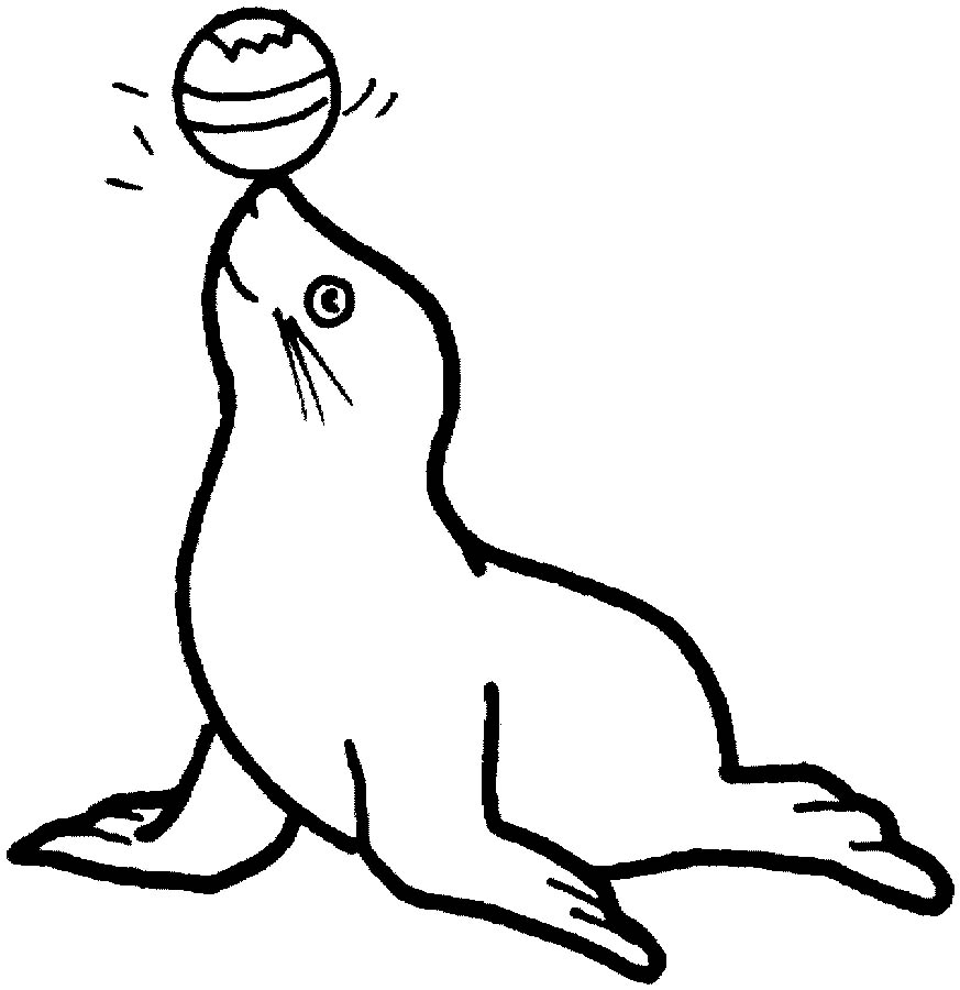873x900 Seal Coloring Pages