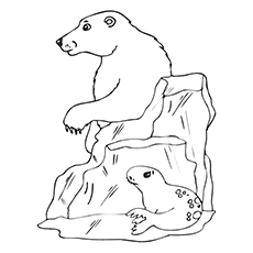 230x230 Top 10 Free Printable Seal Coloring Pages For Toddlers