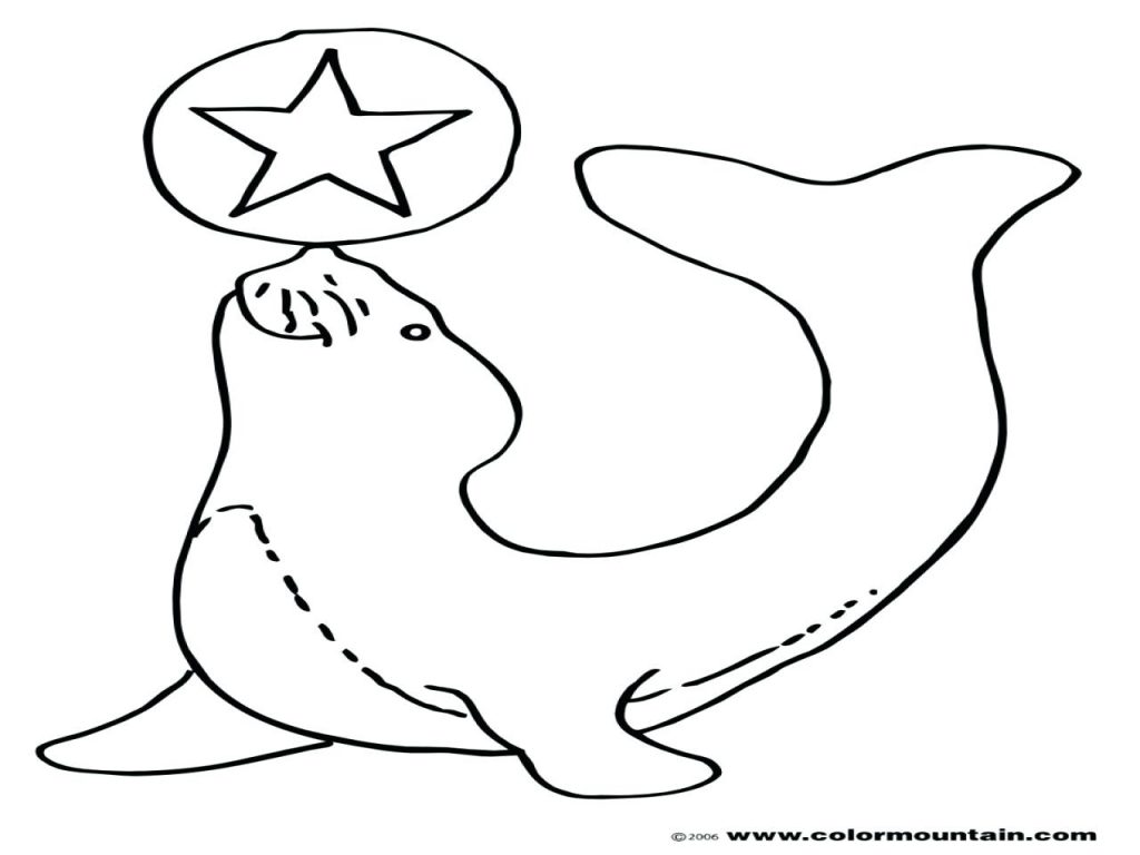 1024x768 Coloring Pages ~ Seal Coloring Pages Elephant Page Books Navy Seal