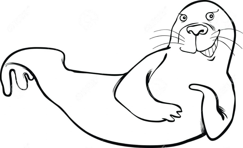 1024x624 Coloring Pages ~ Seal Coloring Pages Funny Page Stock Vector Navy