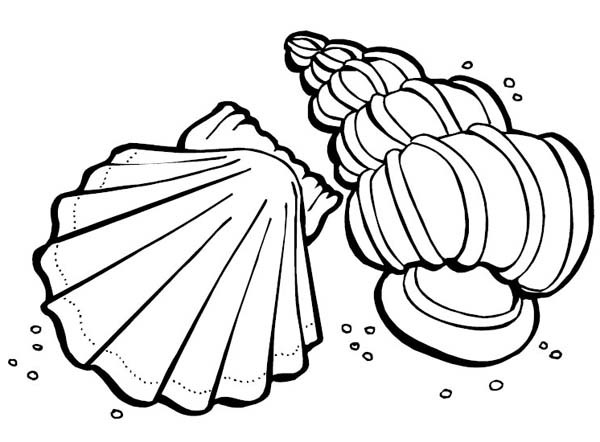 Clam Coloring Page