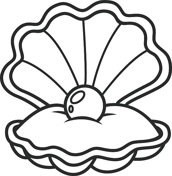 598x612 Clam Coloring Page Clams Pearl Drawing 2 Clam Coloring Pages