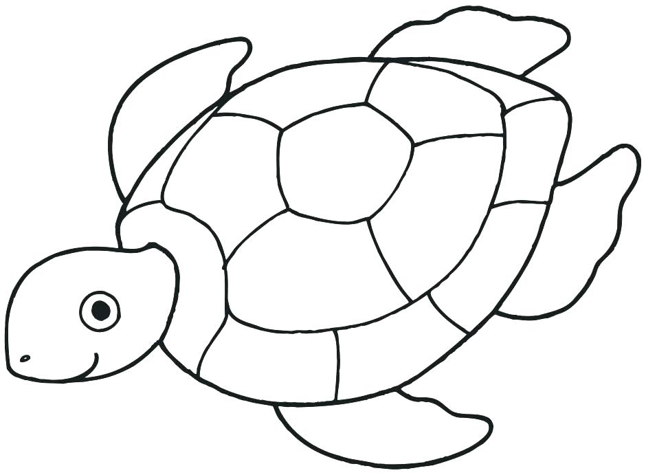 940x691 Printable Seashell Coloring Pages For Kids Seashell Coloring Pages