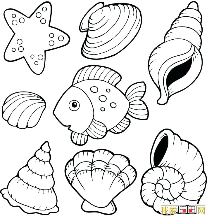 708x741 Seashell Coloring Pages For Adults Clam Coloring Page Clam