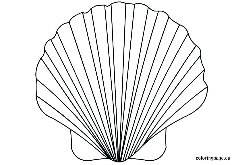 822x575 Seashell Coloring Pages Preschool Clam Coloring Page Printable