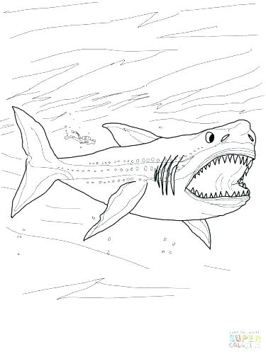 375x500 Amazing Baby Great White Shark Coloring Pages Component