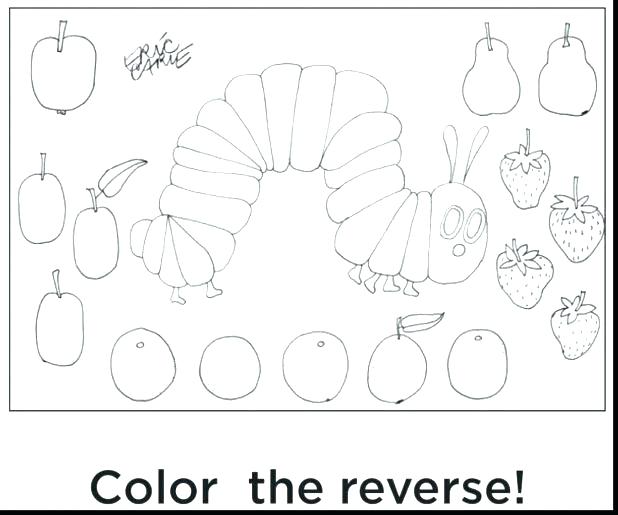 618x515 Brown Bear Coloring Page Scary Brown Bear Coloring Pages Little