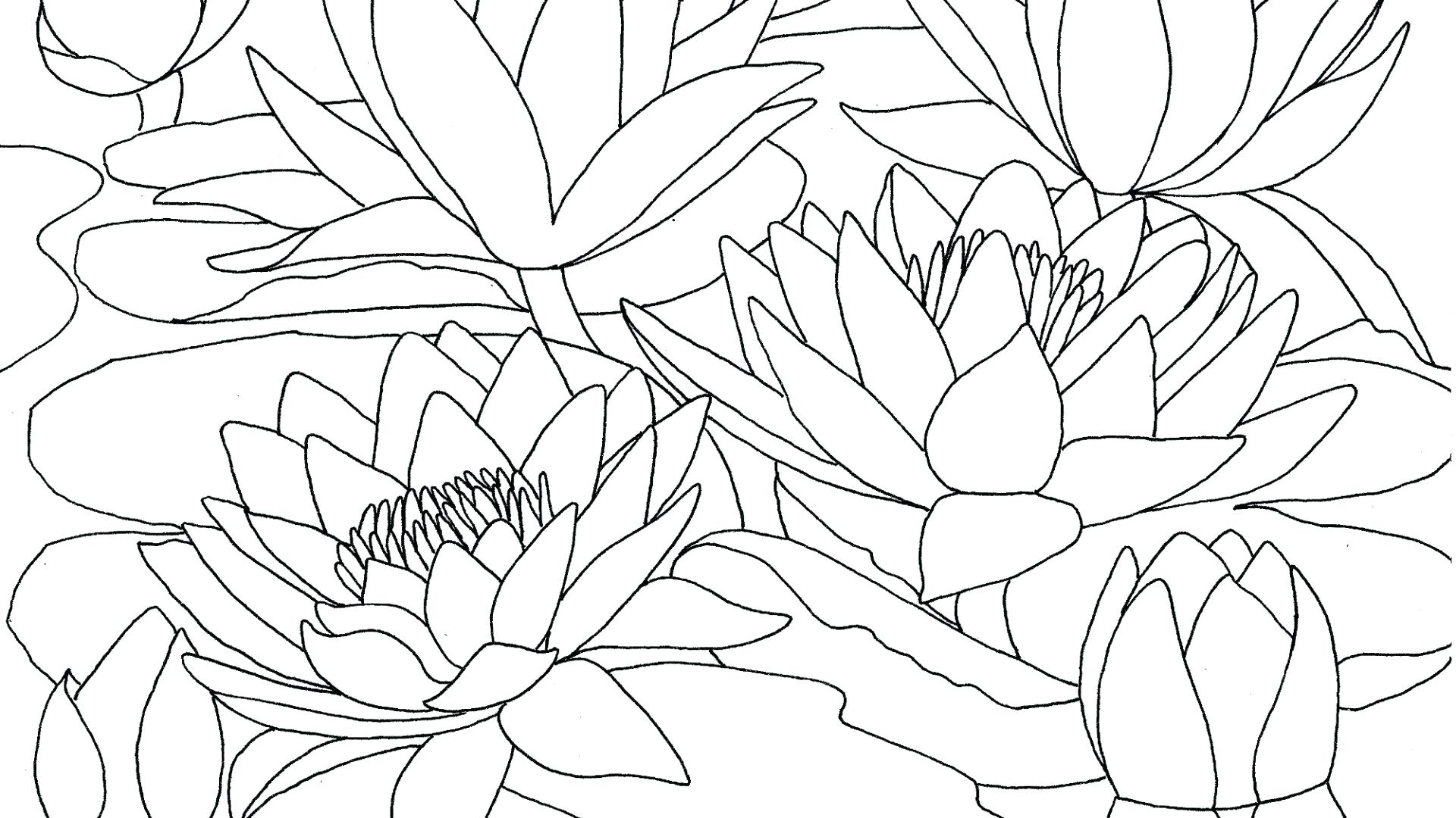 1920x1080 Water Lilies Evening Effect By Claude Monet Coloring Page Free