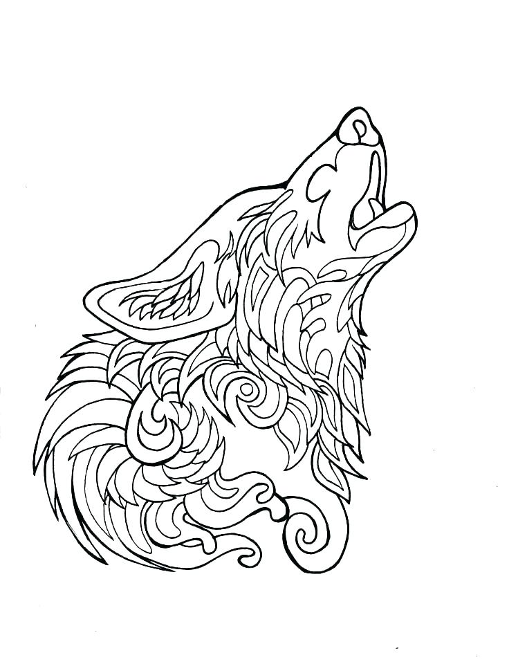 762x960 Clawdeen Wolf Coloring Pages Baby Wolf Coloring Pages Wolf