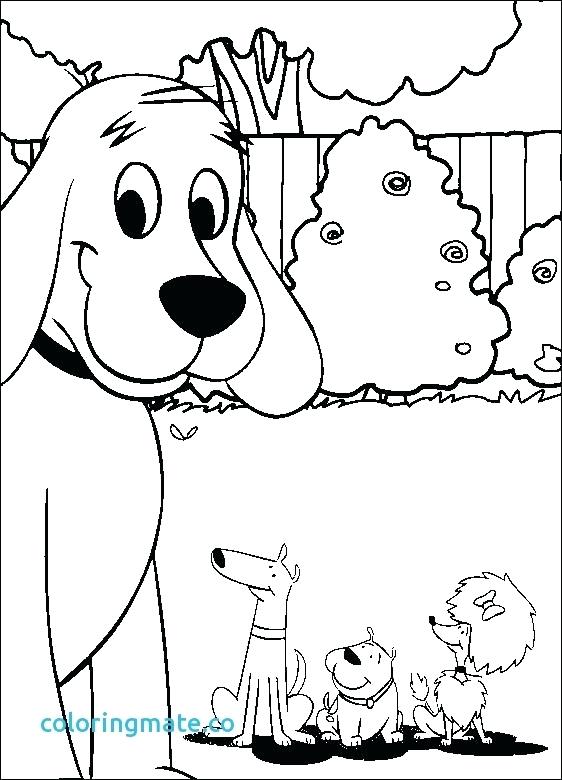 562x780 Clifford Coloring Page Coloring Book Coloring Pages Best