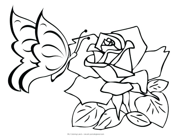 728x563 Realistic Flower Coloring Pages Medium Size Of Realistic Flowers