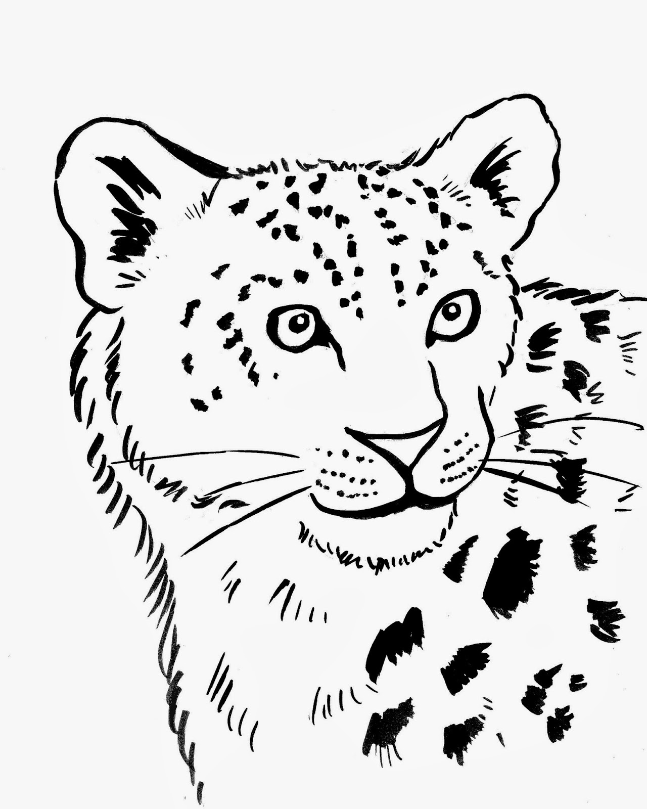 1280x1600 Snow Leopard Coloring Page 320203