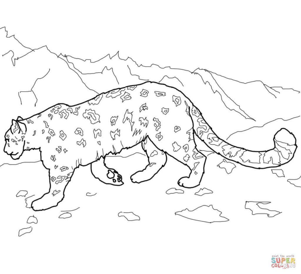 1024x935 Snow Leopard Coloring Pages Get Bubbles