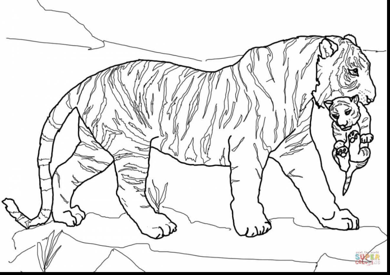 1320x931 Tiger Coloring Pages Page Image Clipart Images