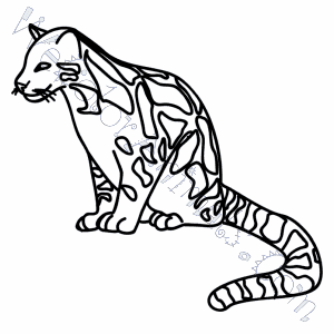 300x300 Clouded Leopard Coloring Pages