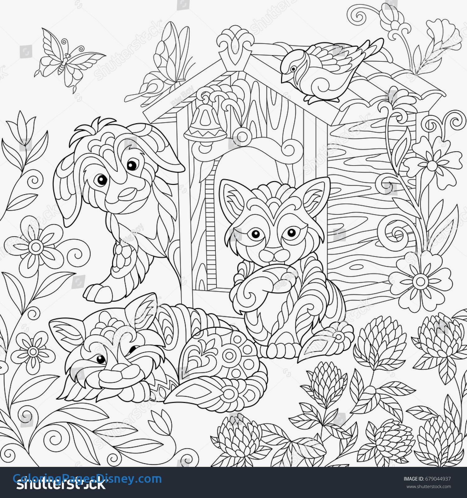 Clover Coloring Pages Printable