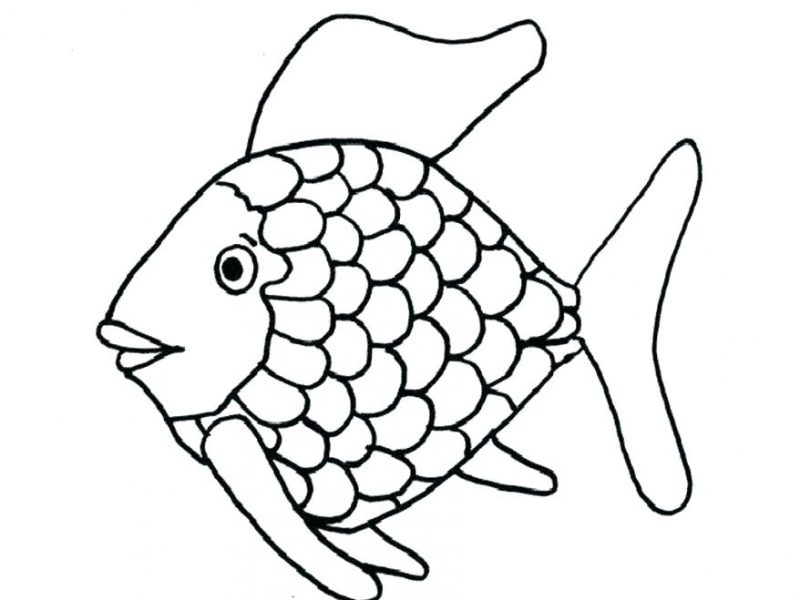 800x600 Fish Coloring Pages Easyfish Pictures To Color Fish Coloring Pages