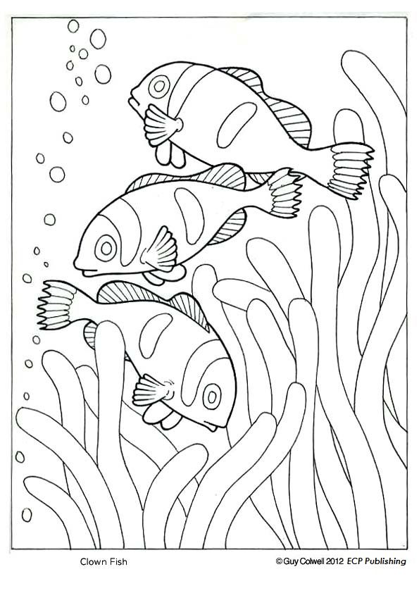 595x842 Clown Fish Coloring, Ocean Animal Coloring Pages Patterns