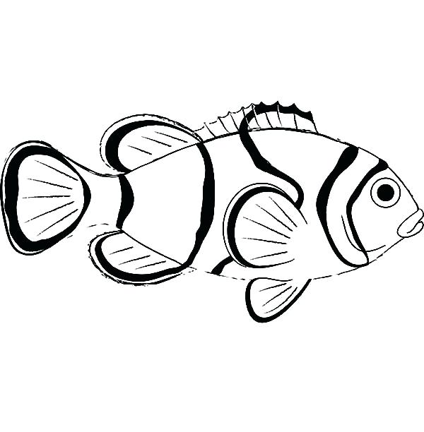 600x612 Coloring Clown Fish Coloring Pages Sea Animal Colouring. Clown