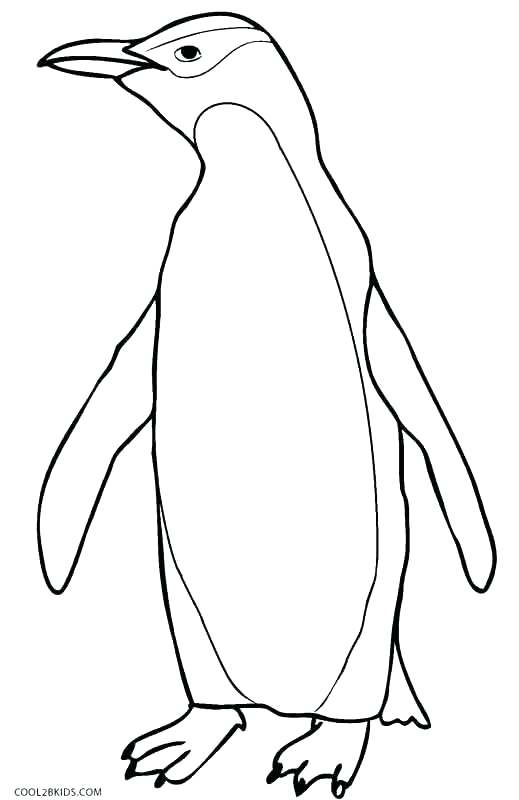 519x800 Club Penguin Coloring Pages Coloring Page Penguin Penguin Coloring