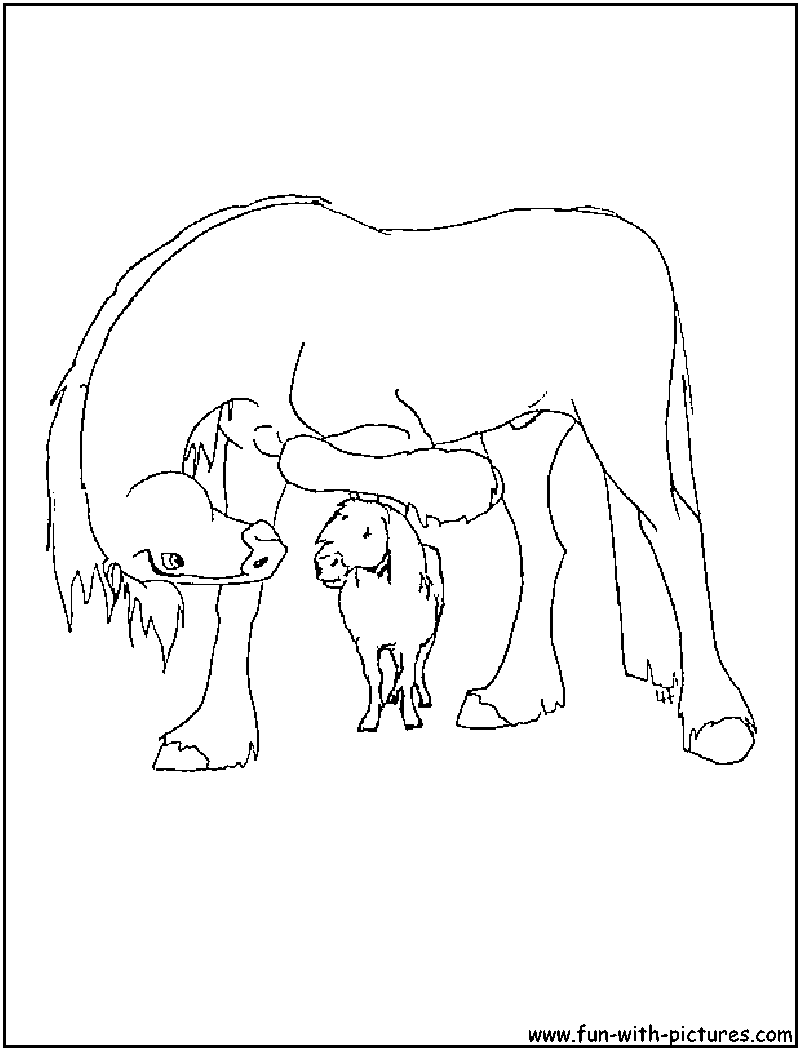 Clydesdale Coloring Pages
