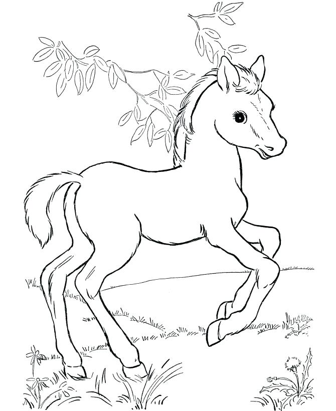670x820 Coloring Picture Of A Horse Best Horse Coloring Pages Ideas