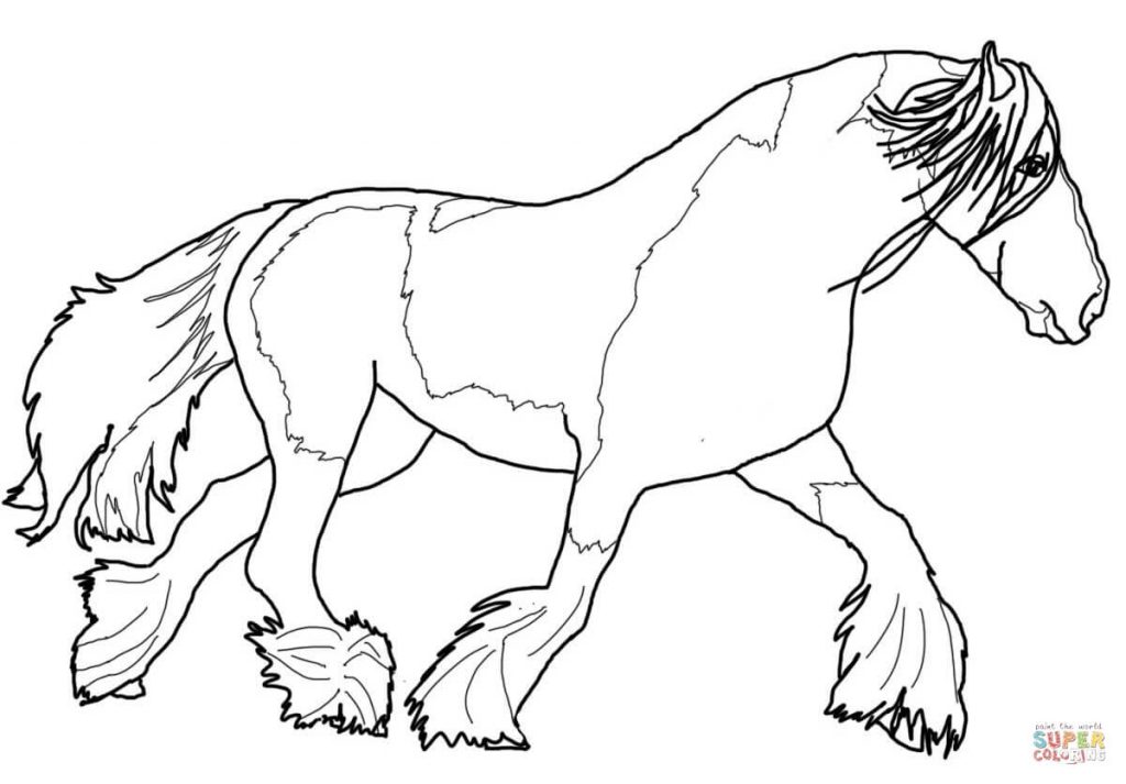 1024x713 Gypsy Vanner Horse For Coloring Page 0