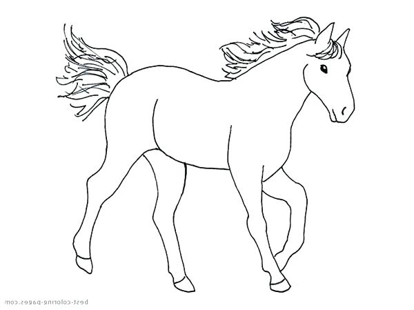 600x449 Horse Coloring Pages Animals Horses Clydesdale Horse Coloring