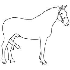 230x230 Top 48 Free Printable Horse Coloring Pages Online