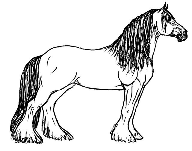 641x504 Top 84 Horse Coloring Pages