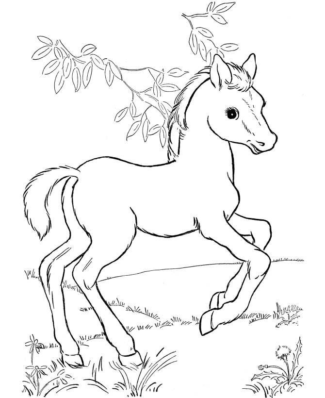 670x820 Horse Coloring Page Unique Clydesdale Paint Horses Coloring Pages