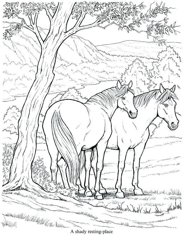 607x770 Horses Coloring Page Horse And Rider Coloring Pages Horses