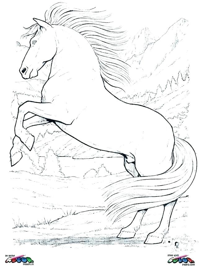 645x860 Horses Coloring Pages Carousel Horse Coloring Pages Horse Coloring