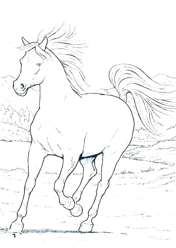 600x847 Horses Coloring Pages Lovely Mare Two Horses Coloring Page