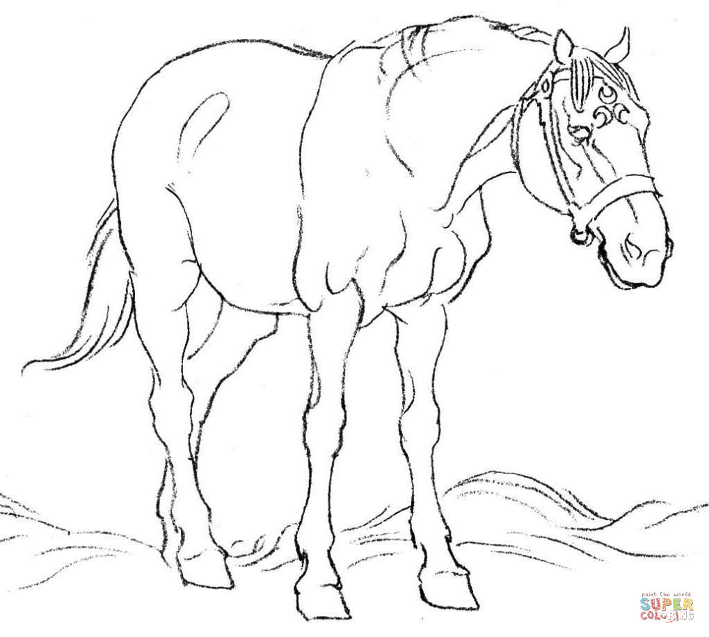 1019x916 Clydesdale Horse Coloring Pages Free