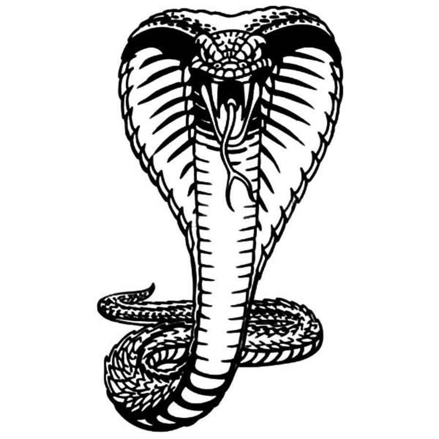 Cobra Coloring Page
