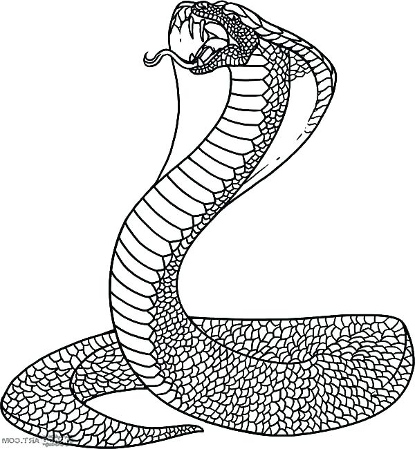 600x650 Coloring Pages Also The Evil Snake Coloring Pages Coloring Pages