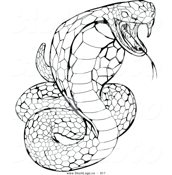 728x742 Rattlesnake Coloring Page Coloring Pages Snake Printable For Kids